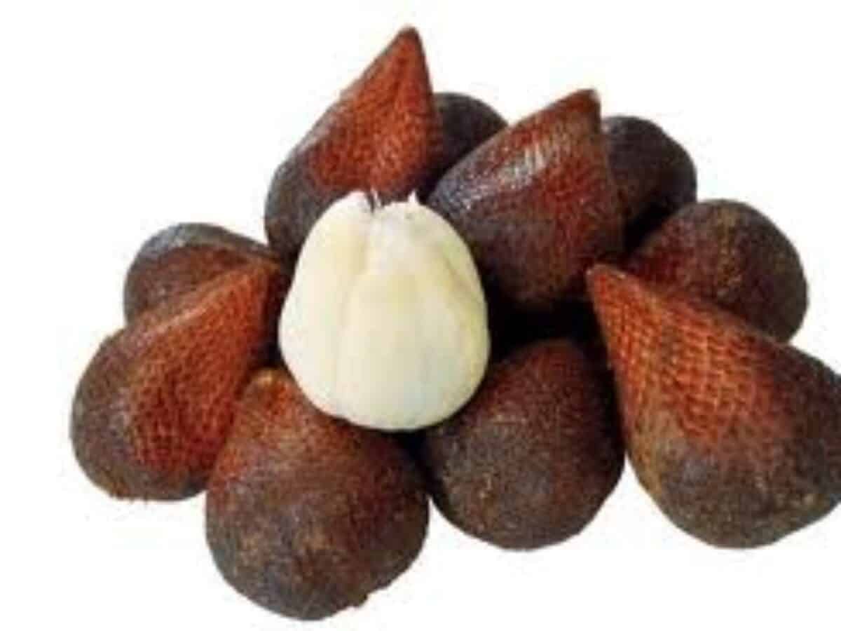 Salak Pondok >10Kg