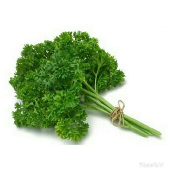 Daun Parsley Fresh