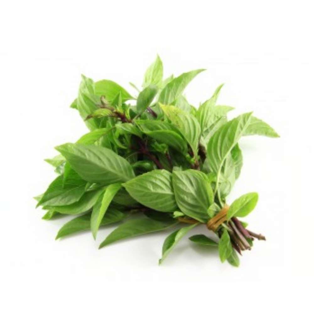 Daun Basil