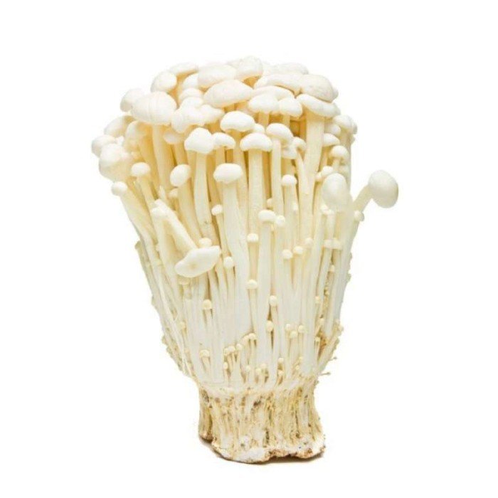 Jamur Enoki